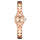 Small And Fine Bracelet Quartz Ladies Watch