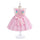 Toddler Girls Flower Dress Princess Dresses
