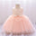 Toddler Girls 2-6Y Irregular Mesh Princess Dress With Bow Knot