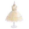 Toddler Girls 3-7Y Party Embroidered Mesh Dresses