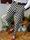 Men Basic Mid-Waist Plaid Printed Color Blocking Straight Suit Pants