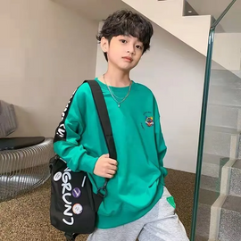 Kids Toddler Boy Fashion Crew Neck Colorblock Sweatshirt SKU: T1035E9774 Min.Order: 1