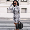 Turtleneck Long-Sleeve Animal Print Bodycon Dress