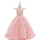 Kids Toddler Big Girls Fashion Party Cute Sweet Solid Color Floral Embroidery Sleeveless Mesh Party Tutu Dress