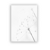 (Buy 1 Get 2) Modern Simple Black White Dandelion Canvas Decorative Painting For Living Room