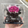 Relatives Home Eternal Flower Dried Flower Rose Acrylic Gift Box