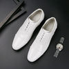 Men Fashion Pointed Toe Lace-Up Micro Leather Shoes