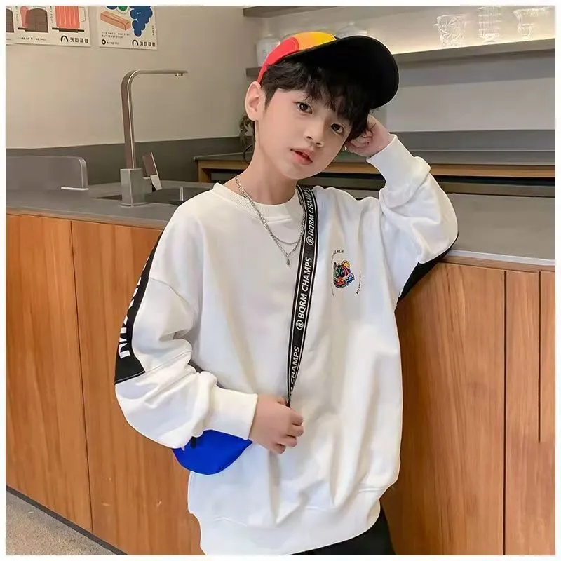 Kids Toddler Boy Fashion Crew Neck Colorblock Sweatshirt SKU: T1035E9774 Min.Order: 1
