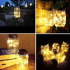 (Buy 1 Get 1) 2M 20 LED Mason Tank Decor Solar Lamp String Ornaments
