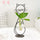 Simple Home Creative Cat Iron Hydroponic Flower Arrangement Vase 2 pcs Black Color