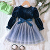 Toddler Girls 18M-6Y Velvet Gradient Mesh Princess Dress