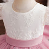 Toddler Girls 9M-5Y Birthday Lace Embroidered Dress