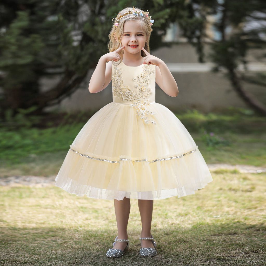 Toddler Girls 3-7Y Party Embroidered Mesh Dresses