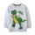 Kids Toddler Boys Autumn Winter Fashion Casual Cute Alphabet Cartoon Dinosaur Print Round Neck Sweatshirts