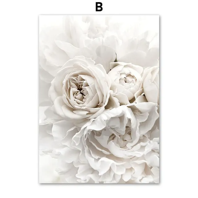 ( Buy 1 Get 2) Living Room Bedroom Background Wall Romantic White Peony Rose Painting Core