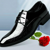 Men Casual Snakeskin Pattern Lace Up Oxfords