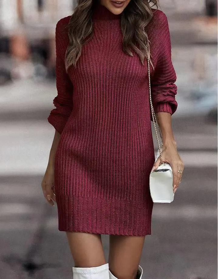 Women Winter Turtleneck Long Sleeve Solid Color Knitted Dress