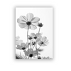 (Buy 1 Get 2) Modern Simple Black White Dandelion Canvas Decorative Painting For Living Room