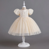 Kids Toddler Big Girls Fashion Party Cute Sweet Solid Color Pleated Puff Sleeve Mesh Party Tutu Dress