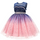 Kids Toddler Big Girls Summer Fashion Party Cute Sweet Gradient Sequins Bow Pleated Sleeveless Mesh Party Tutu Dress