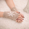 (Buy 1 Get 2) Christmas Autumn Winter Women Fashion Snowflake Embroidered Warm Knitted Gloves