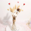 Home Decoration Dried Flower Bouquet