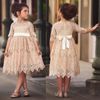 Kids Toddler Big Girls Fashion Party Cute Sweet Solid Color Bow Crochet Hollow Out Lace Pleated Half Sleeve Mesh Party Tutu Dress