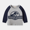 Boys Fashion Dinosaurs Letter Pattern Long-Sleeves T-Shirt