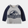 Boys Fashion Dinosaurs Letter Pattern Long-Sleeves T-Shirt