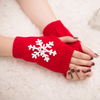 (Buy 1 Get 2) Christmas Autumn Winter Women Fashion Snowflake Embroidered Warm Knitted Gloves
