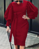 Women Fashion Solid Color Lantern Sleeve Dress