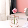 (Buy 1 Get 1) Creative Home Metal Geometric Vase Decoration