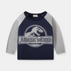 Boys Fashion Dinosaurs Letter Pattern Long-Sleeves T-Shirt