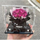 Relatives Home Eternal Flower Dried Flower Rose Acrylic Gift Box