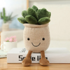 Simulation Succulent Plant Succulent Potted Plant Decoration Pillow Plush Toy