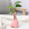 (Buy 1 Get 1) Simple Solid Color Dry Flower Container Home Decoration Ceramic Vase