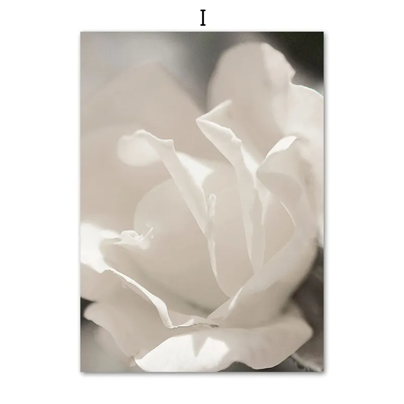 ( Buy 1 Get 2) Living Room Bedroom Background Wall Romantic White Peony Rose Painting Core