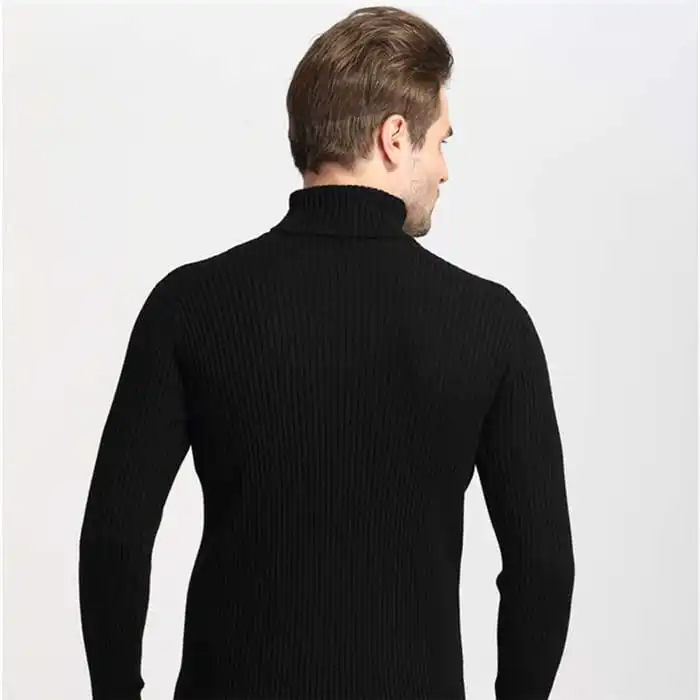 (Buy 1 Get 1) Men Fashion Solid Color Turtle Neck Long Sleeve Knitwear