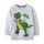 Kids Toddler Boys Autumn Winter Fashion Casual Cute Alphabet Cartoon Dinosaur Print Round Neck Sweatshirts