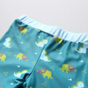 Kids Boys Cute Cartoon Dinosaur Round Neck Short Sleeve Top And Elastic Bottom With Cap Swimwear Set