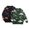 Boys Cute Casual Round Neck Long Sleeve All Over Print Dinosaur Pattern Knitwear