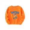 Children Kids Teen Fashion Boys Casual Long Sleeve Cartoon Dinosaurs Print Sweatshirt Top