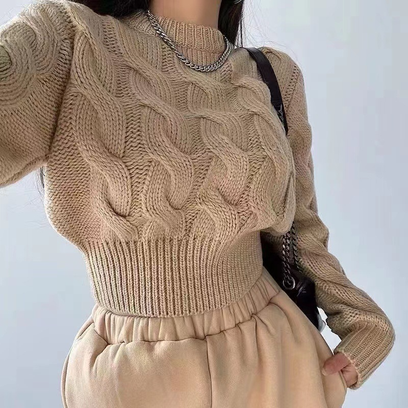 Casual Autumn Winter Solid Color Braided Long Sleeve Cropped Knitted Sweater