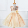 Kids Toddler Big Girls Summer Fashion Party Cute Sweet Solid Color Sequins Floral Pleated Sleeveless Mesh Party Tutu Dress