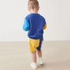 Kids Toddler Big Boys Fashion Casual Colorblock Round Neck Long Sleeve Sweatshirts Shorts Sets