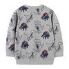 Kids Toddler Boys Autumn Winter Fashion Casual Cute Cartoon Dinosaur Print Round Neck Sweatshirts