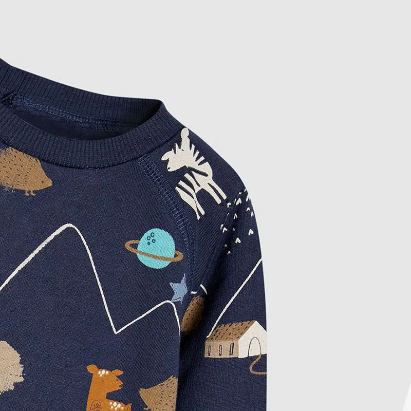 Kids Toddler Boys Autumn Winter Fashion Casual Cute Cartoon Hedgehog Deer Squirrel Print Round Neck Sweatshirts