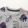 Kids Toddler Boys Autumn Winter Fashion Casual Cute Cartoon Dinosaur Print Round Neck Sweatshirts