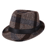 (Buy 1 Get 2) Men Classic Plaid Printed All-Match Fedora Hat