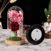 Simulation Immortal Flower Glass Cover Valentine'S Day Creative Gift Glowing LED Light Decoration Gift